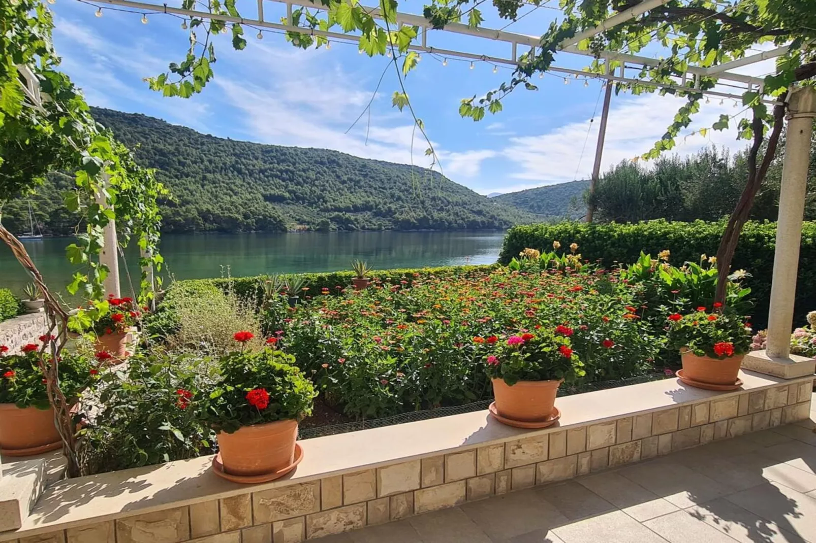 Four bedroom apartment-Outdoor