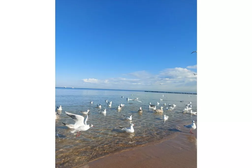 241695-Nicht zugeordnet