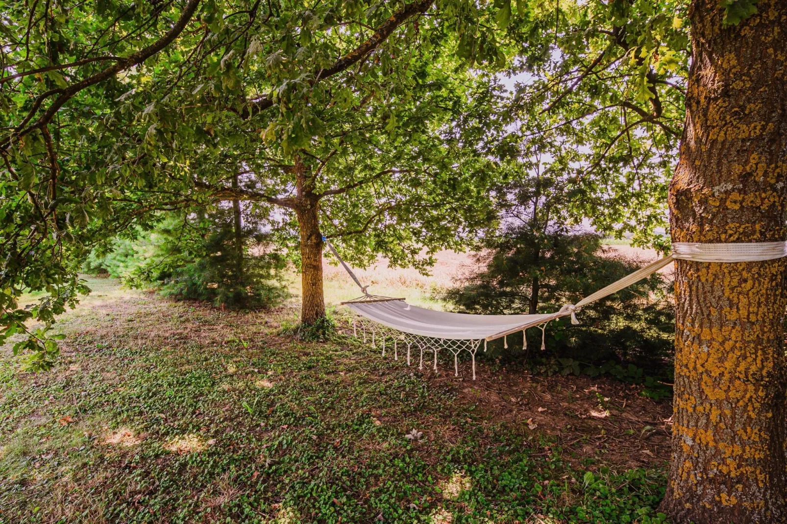 Stunning Rural Holiday Home with Garden and BBQ -  Four Bedroom Holiday Home-Outdoor