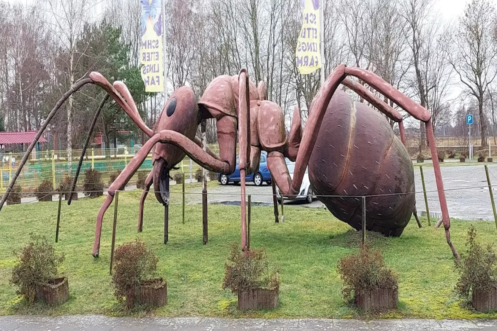 OG links 50 qm-Areas within 5km in summer