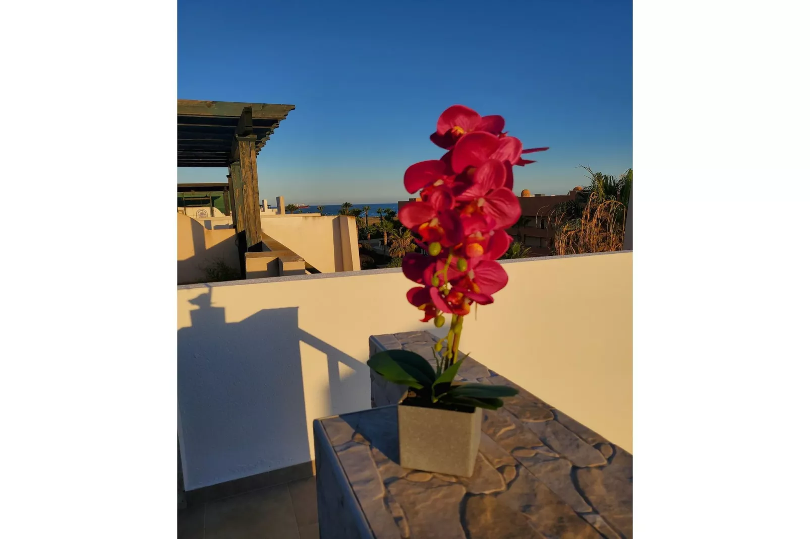 CT 346 AL - Faro's Penthouse  Private Pool - Vera Playa-Ambiance