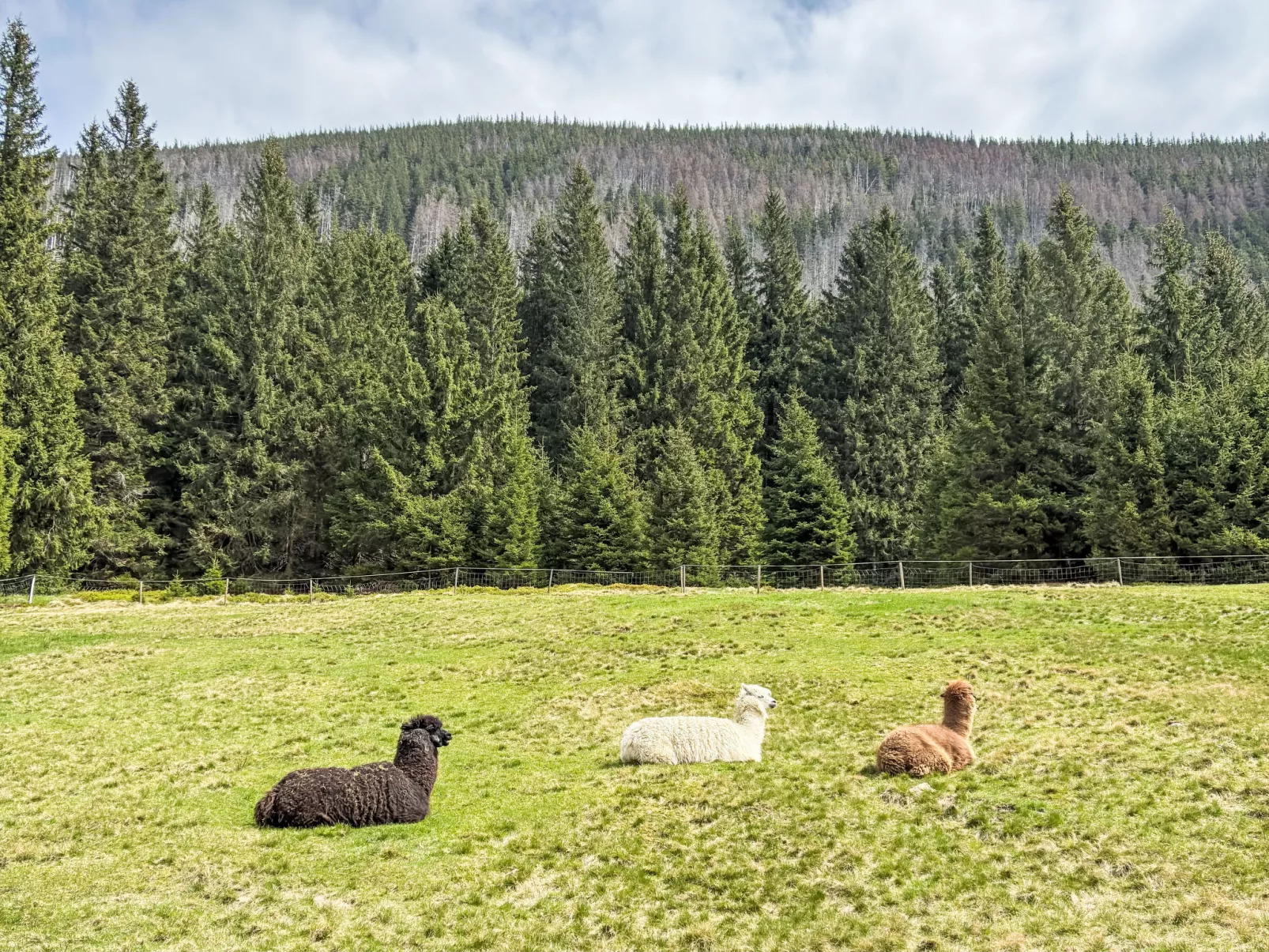 Na Kovárně-Umgebung