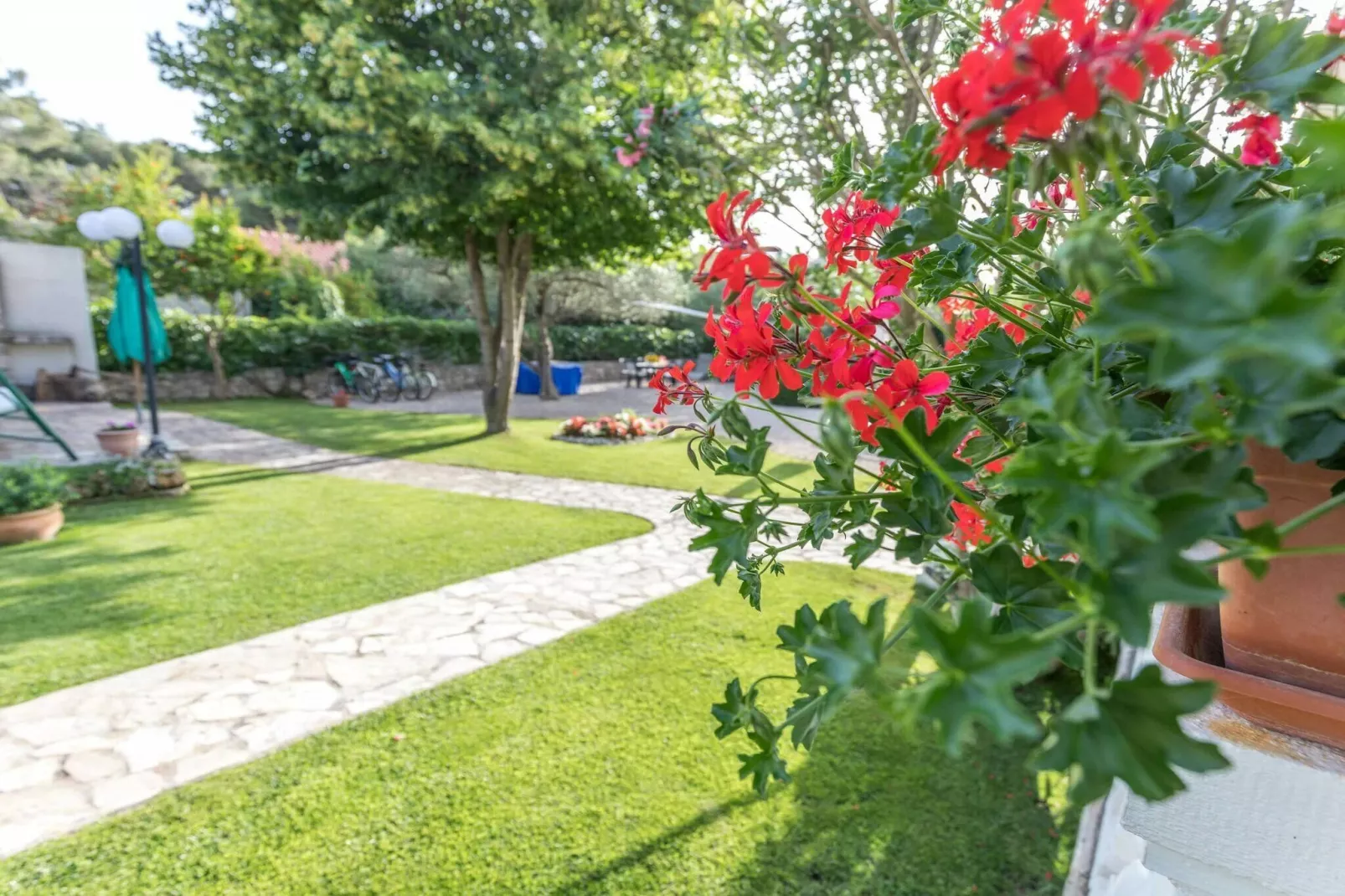 Beach apartment Jadrija-Ambiance