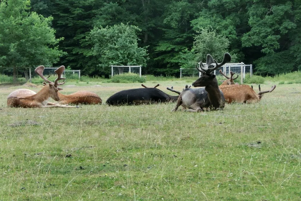 340916-Nicht zugeordnet