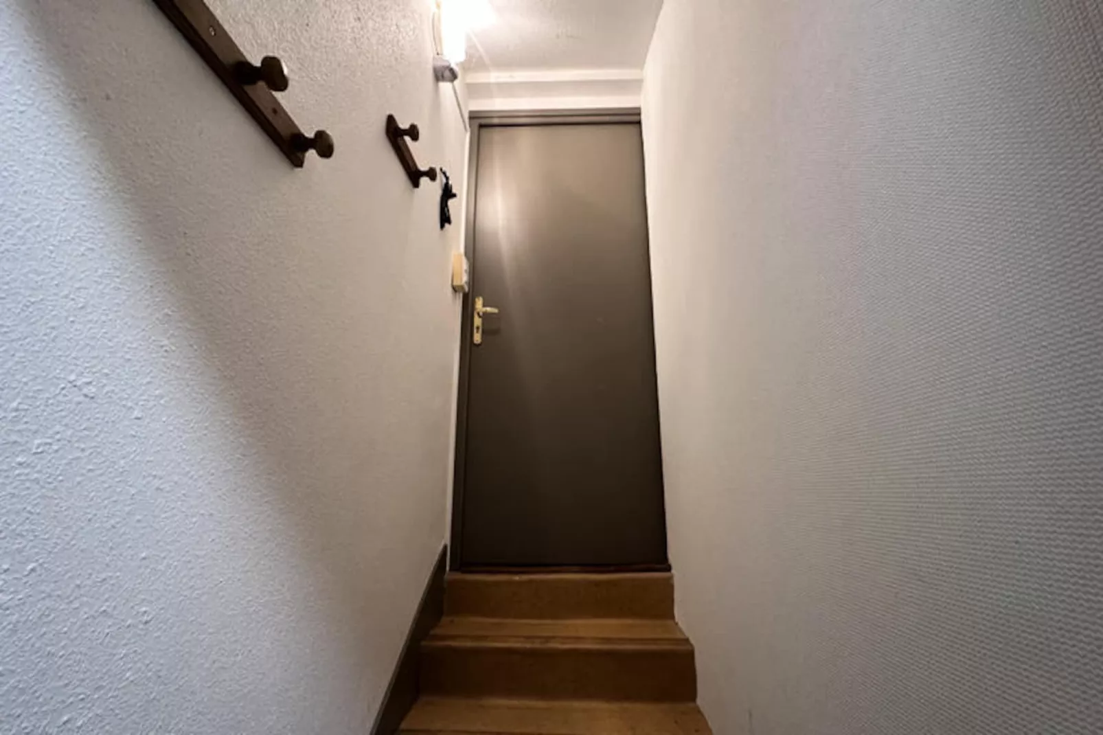 Appartements à Saint Jacques Des Blats-Nicht zugeordnet