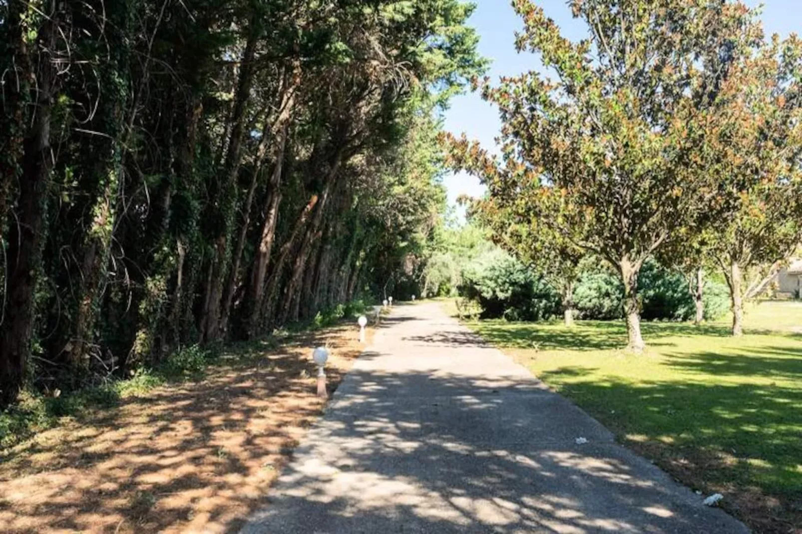 Superbe Mas Proven&ccedil;al - Piscine - Tennis - Parc-Untagged
