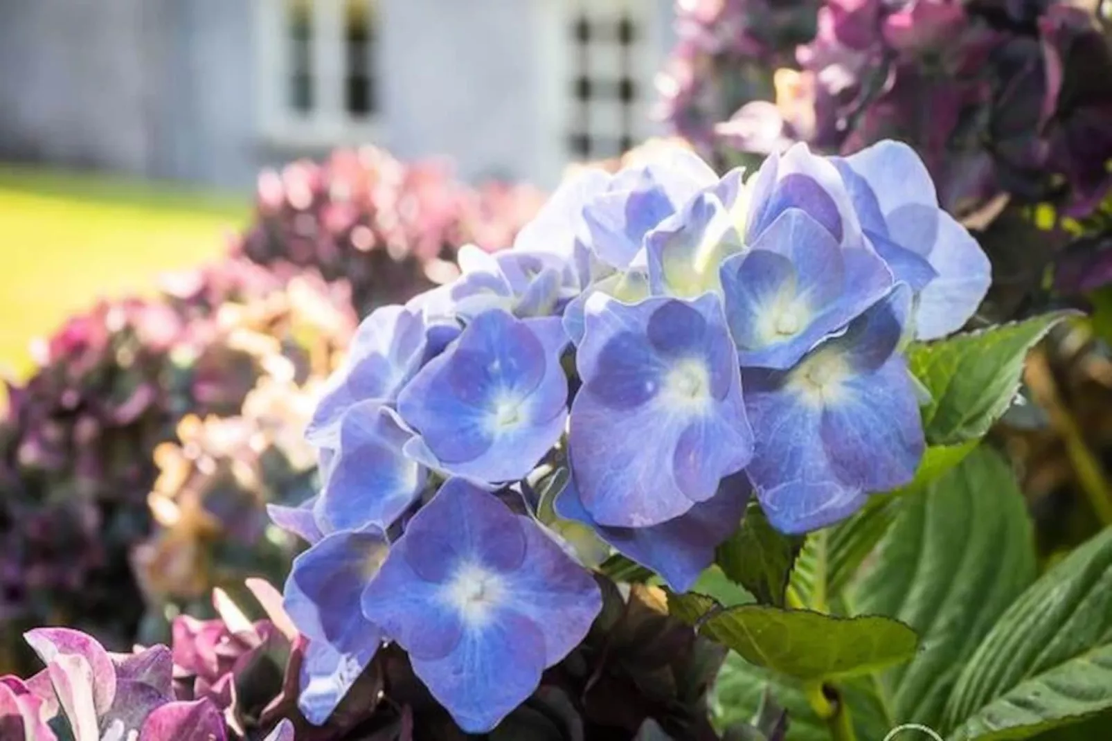 Maison à Clifden Galway-Nicht zugeordnet