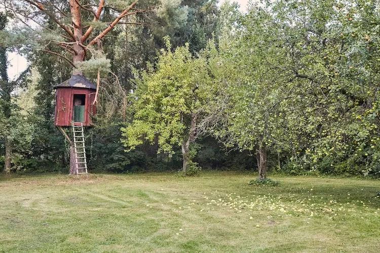 Dom wakacyjny w Sasinie dla max 8 osób-Jardins en été