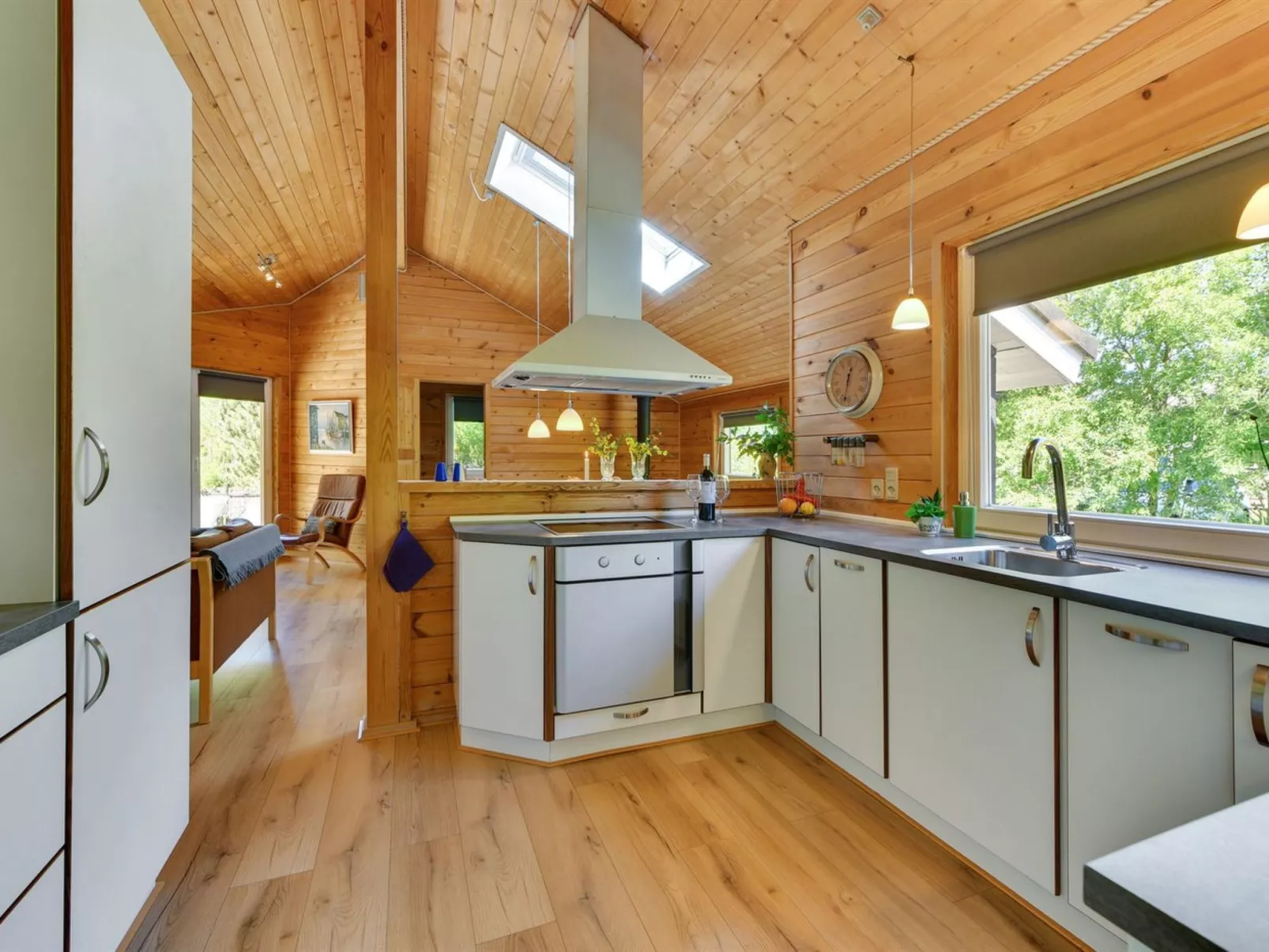 "Jorina" - 700m to the fjord-Dedans