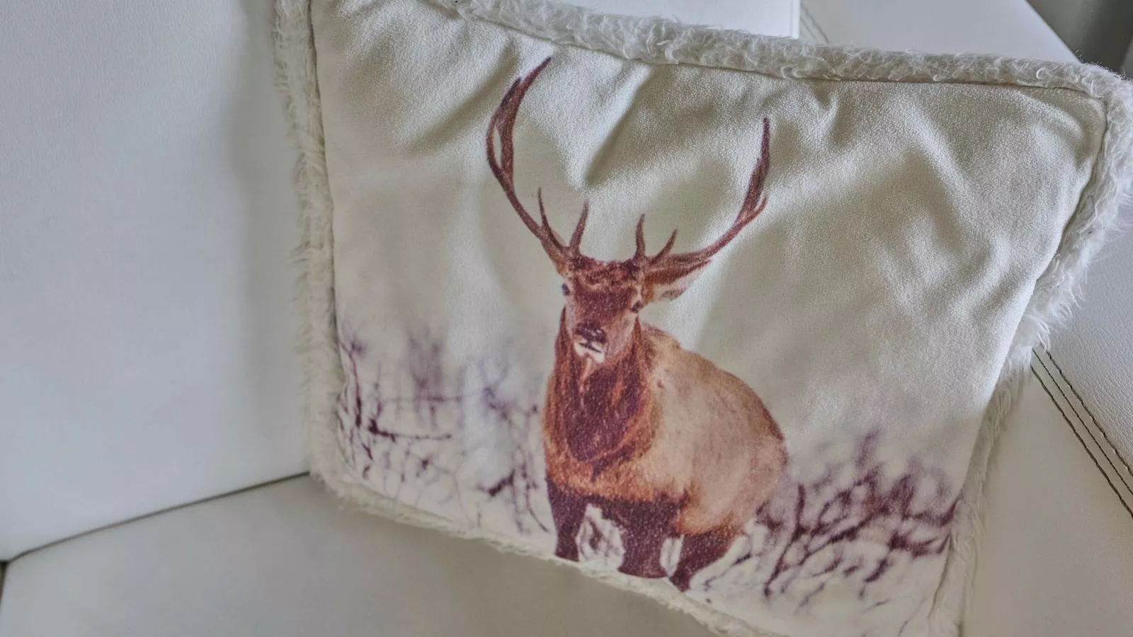 Heidepracht-Ambiance