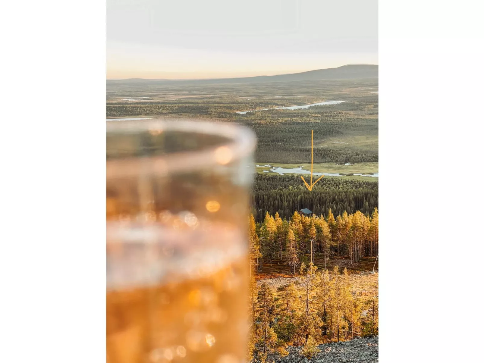 Willa levi west b-Dedans