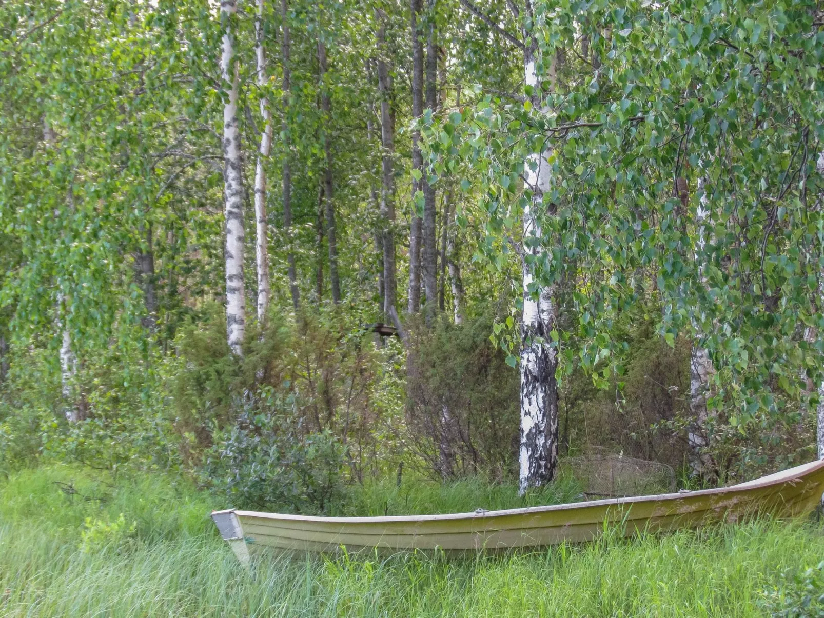 Pilkkaniemi - Dedans