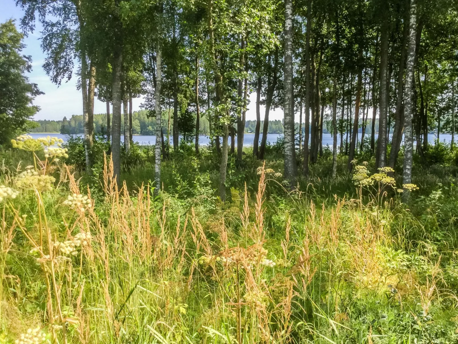 Annelinniemi-Drinnen