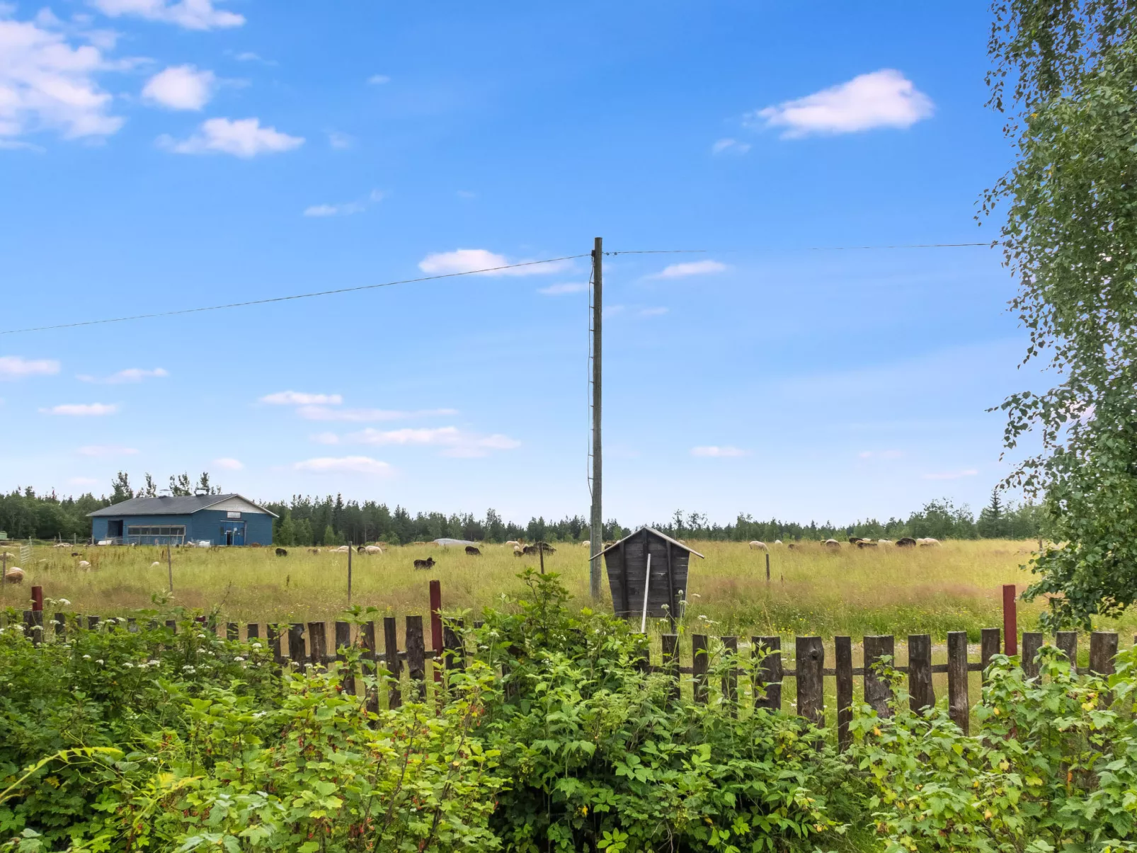 Villa talvilahti-Drinnen