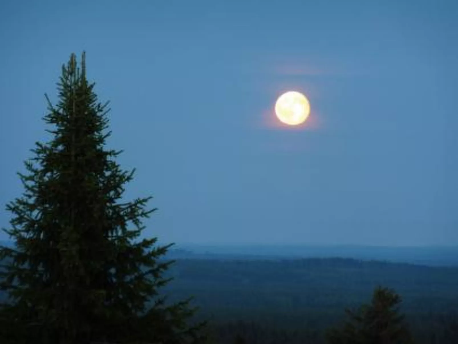 Vaaran loma-asunto-Dedans