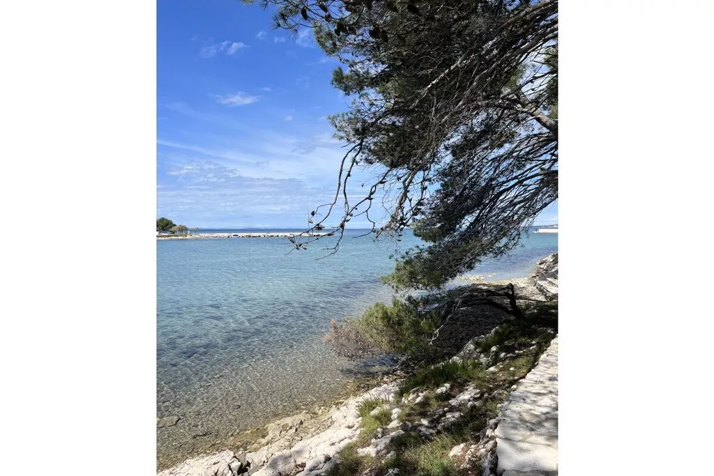 474549-Nicht zugeordnet