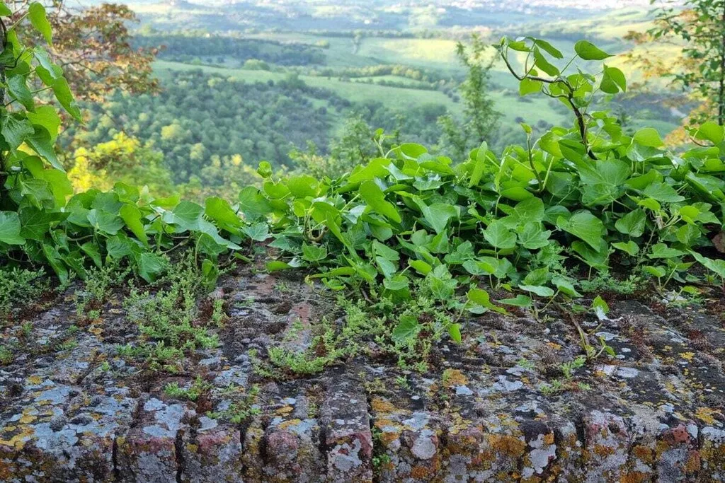 539347-Nicht zugeordnet