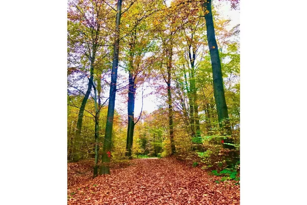 573225-Nicht zugeordnet