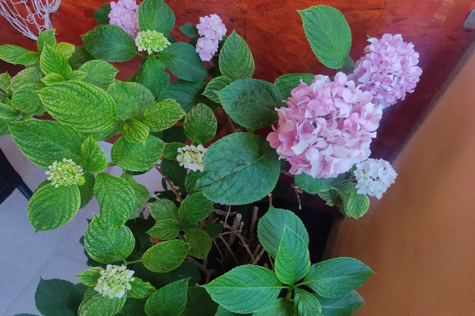 Room Porat 2 with Private Terrace - Double Bedroom with Private Terrace-Extérieur