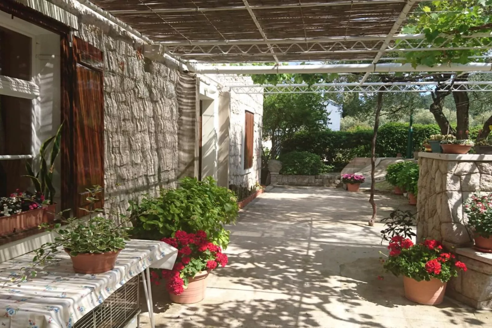 Four bedroom apartment-Outdoor