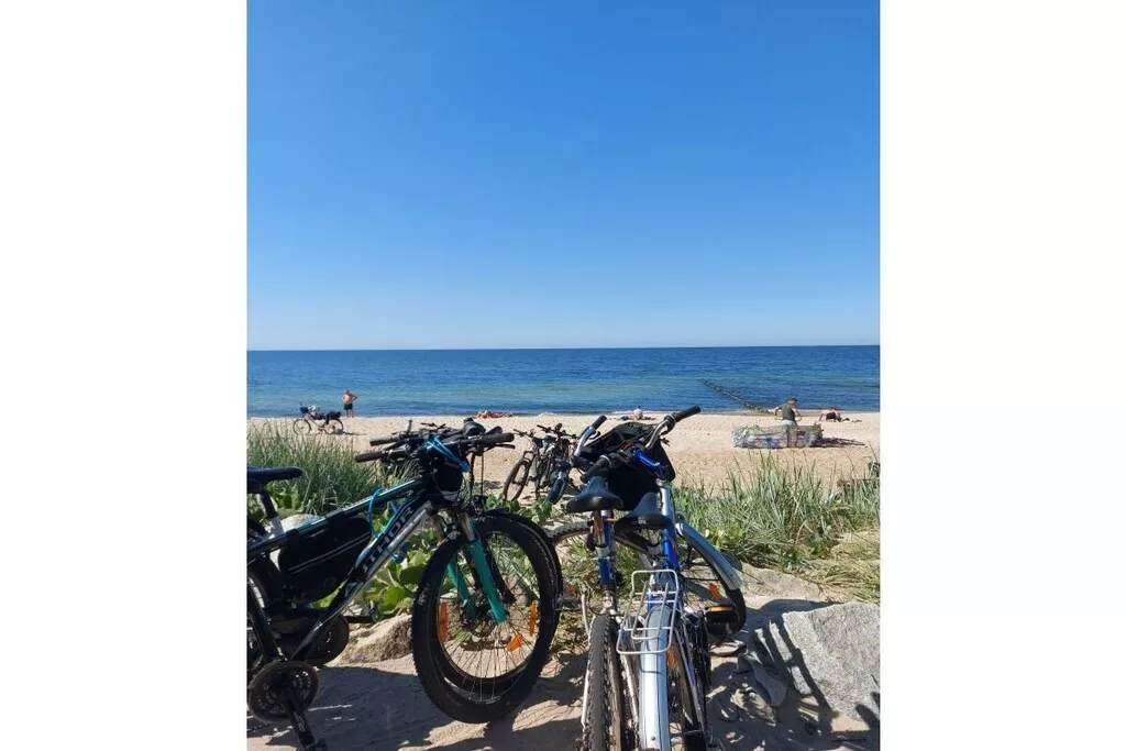 241695-Nicht zugeordnet