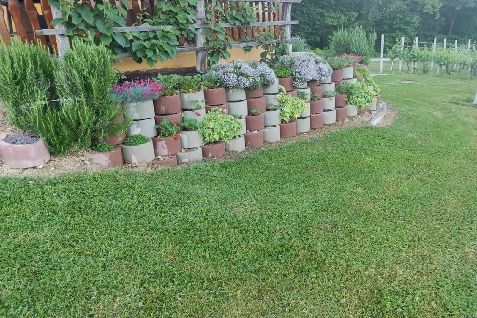 Golden Horizon Holiday Home with Terrace and Garden - One Bedroom Holiday Home with Terrace and Garden-Jardins en été