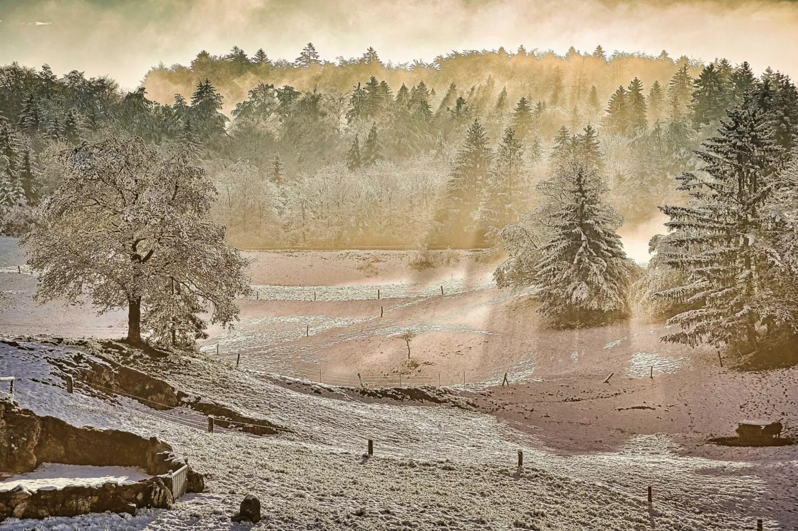 Visnja Gora Meadow Hideaway with Terrace - One Bedroom Cottage with Terrace (owner Hiška na skalci)-Im Freien