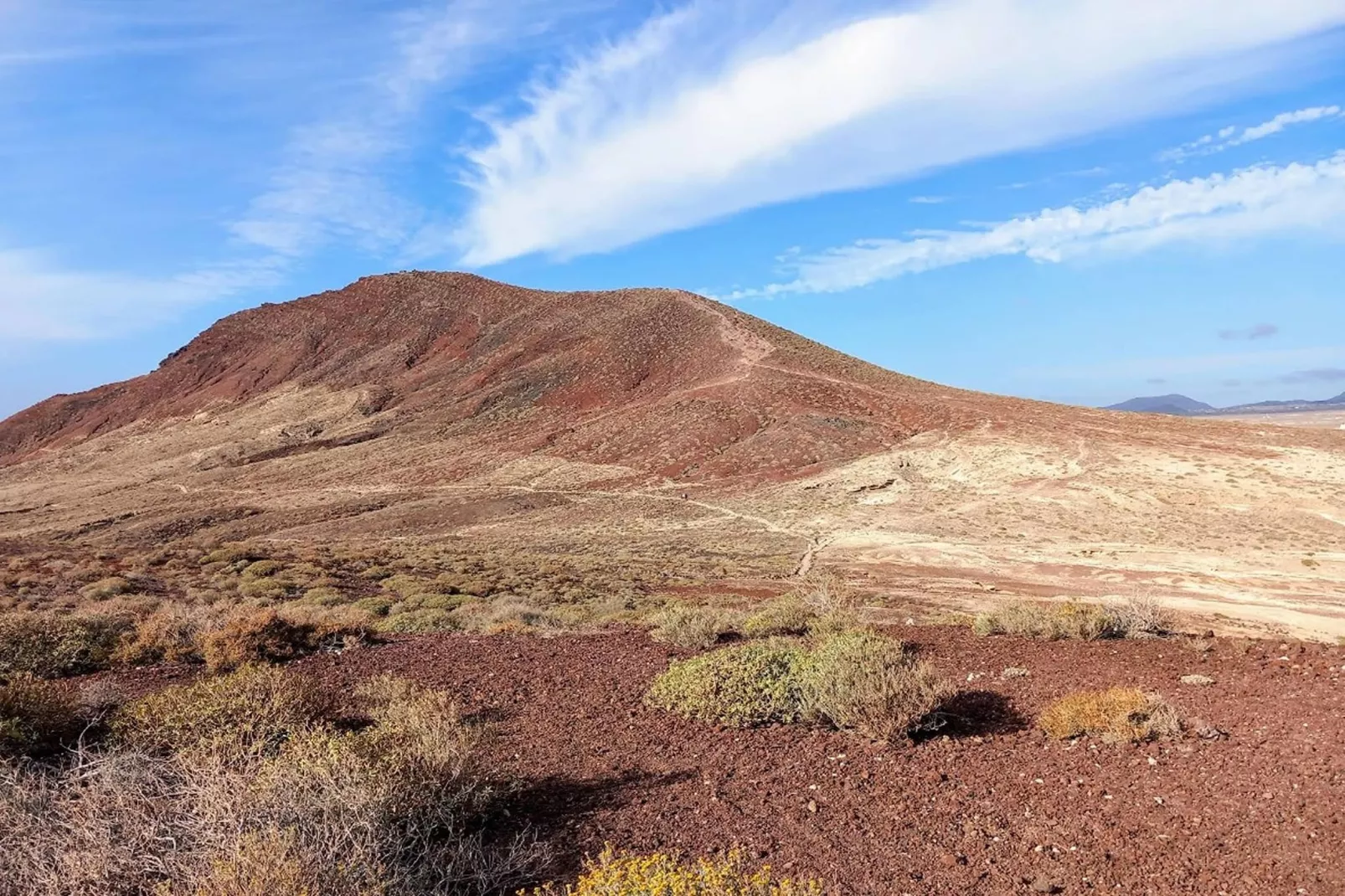 Delfin 14C-Gebiete Sommer 20 km