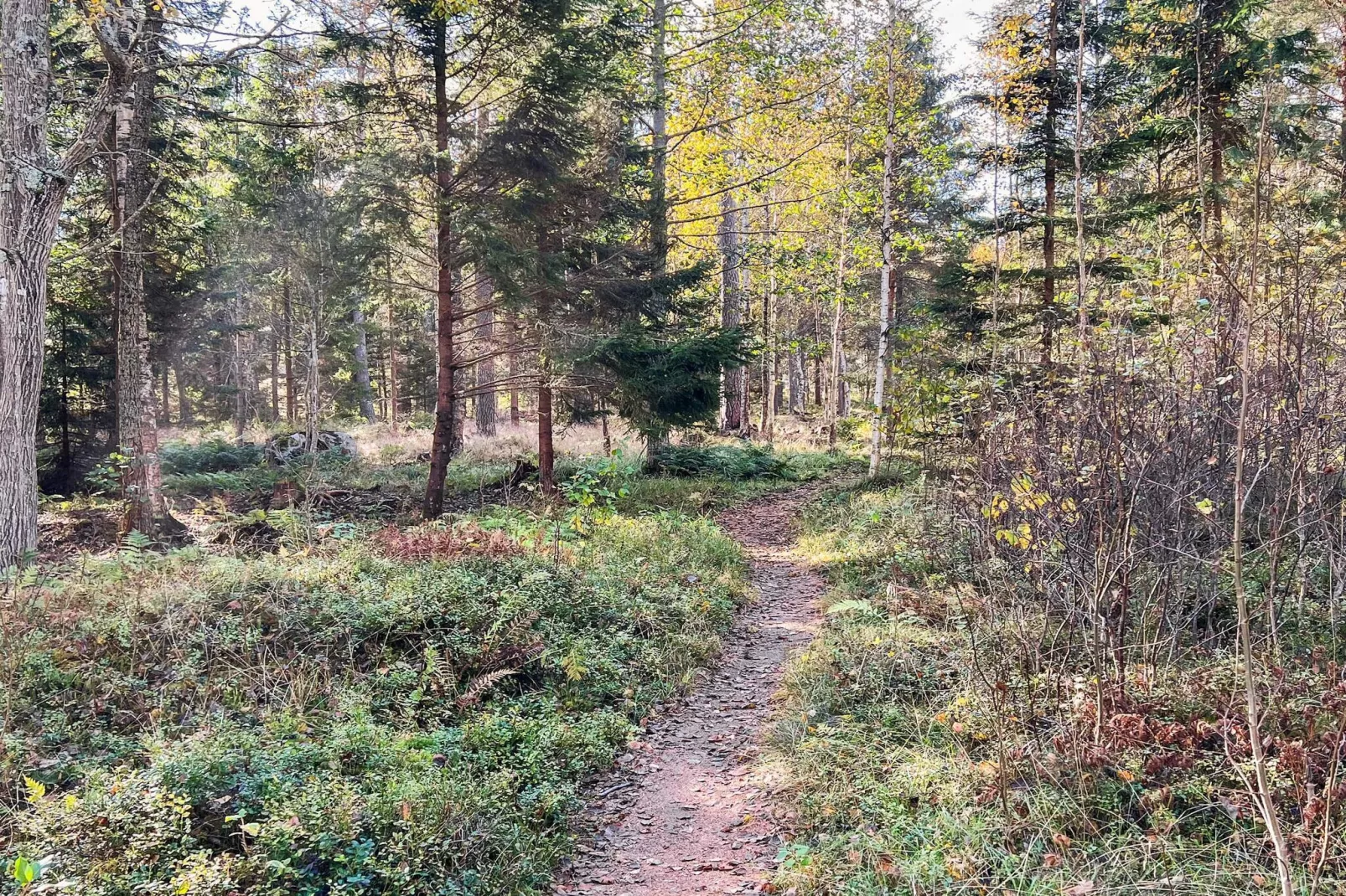 Friedliches Inselhaus in Meeresnähe-Nicht zugeordnet