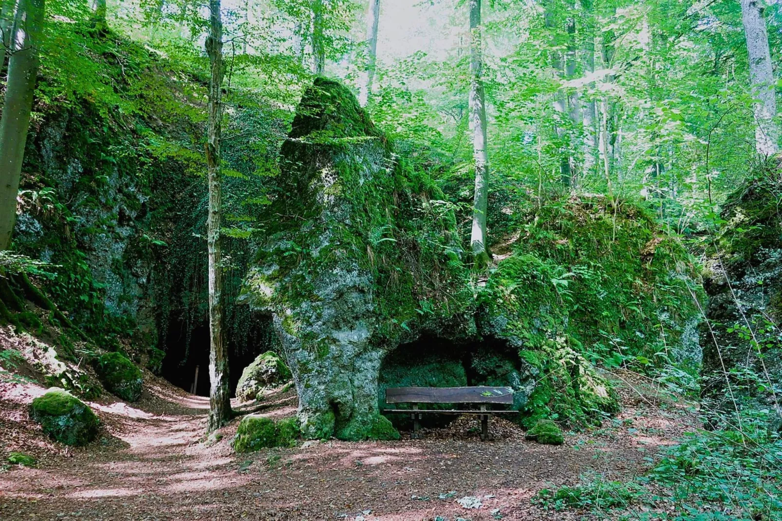 Ferienhaus Birresborn-Zones été à 5 km