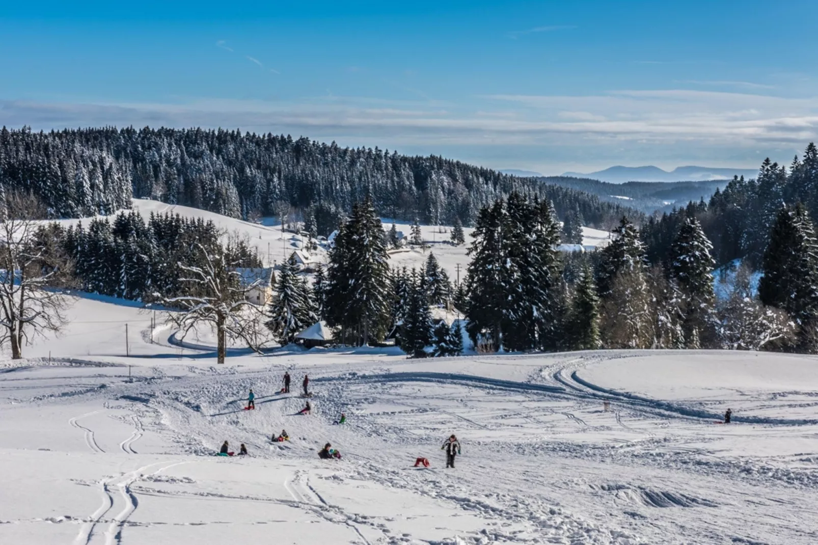 Ferienwohnung Herrischried an der Skipiste-Area within 1km in winter