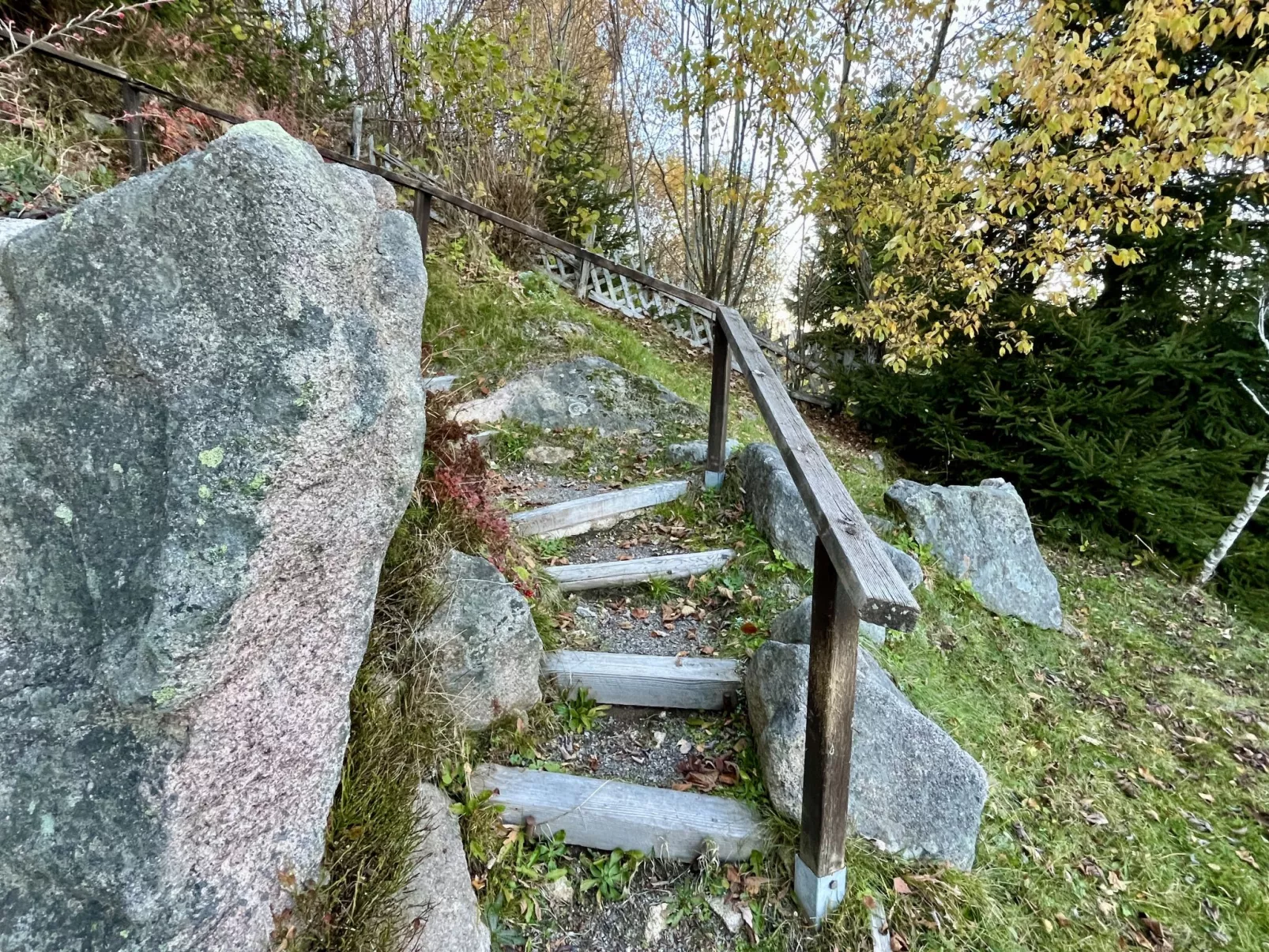 Falkennest - mit Blick auf den Titisee-Draußen