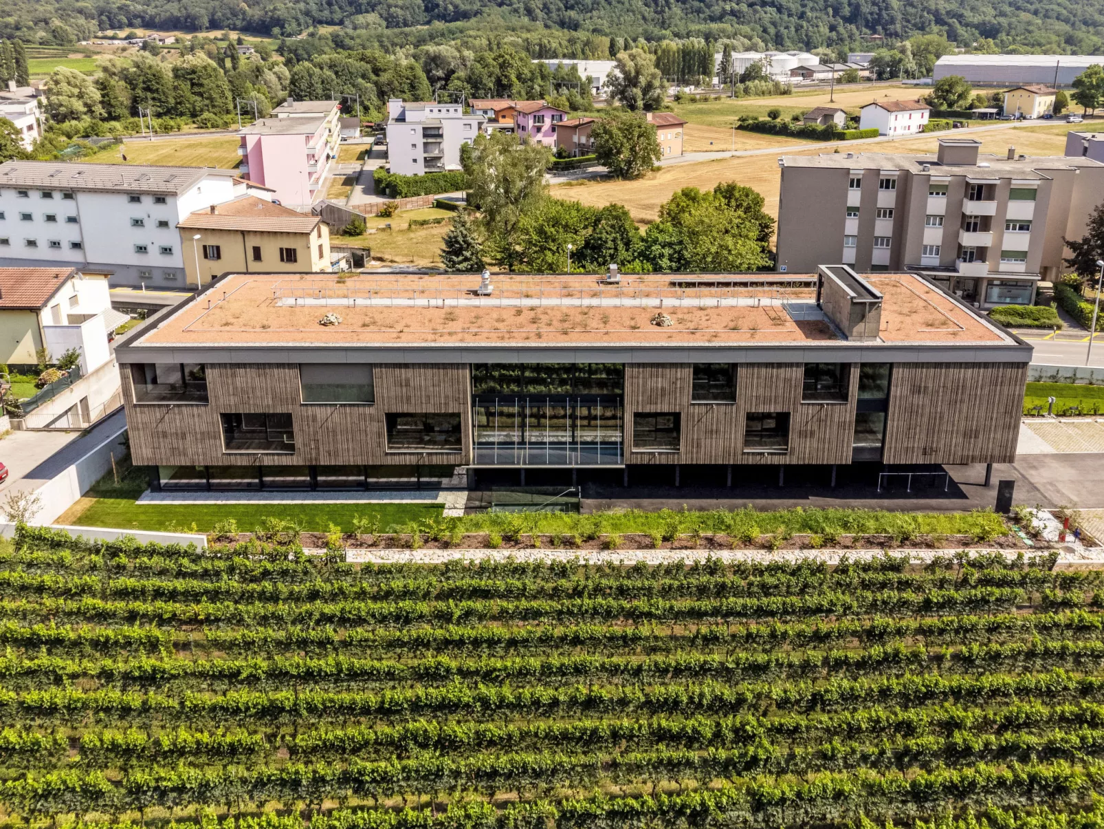 Lo Scudo di Stabio 1 Zi.Studio Süd.-Dehors