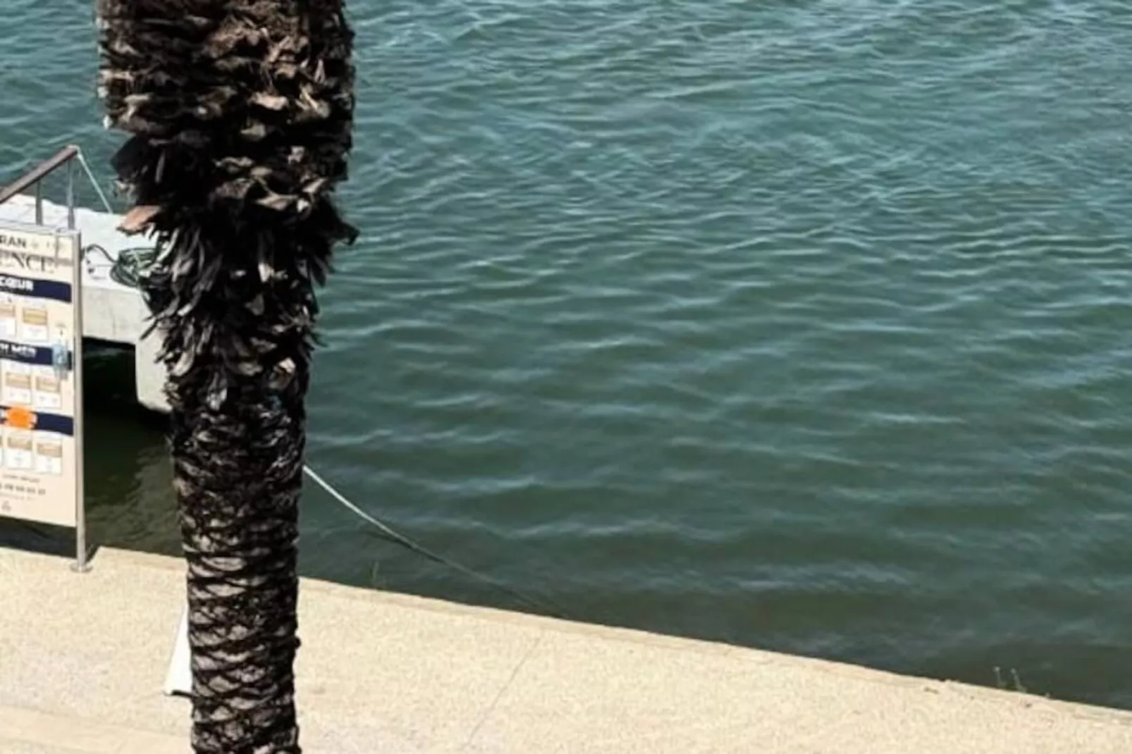 Résidence Superbe T3 Traversant Avec Terrasse Face Au Chenal Vue Mer &ndash; Imp&eacute;rial 4-Nicht zugeordnet