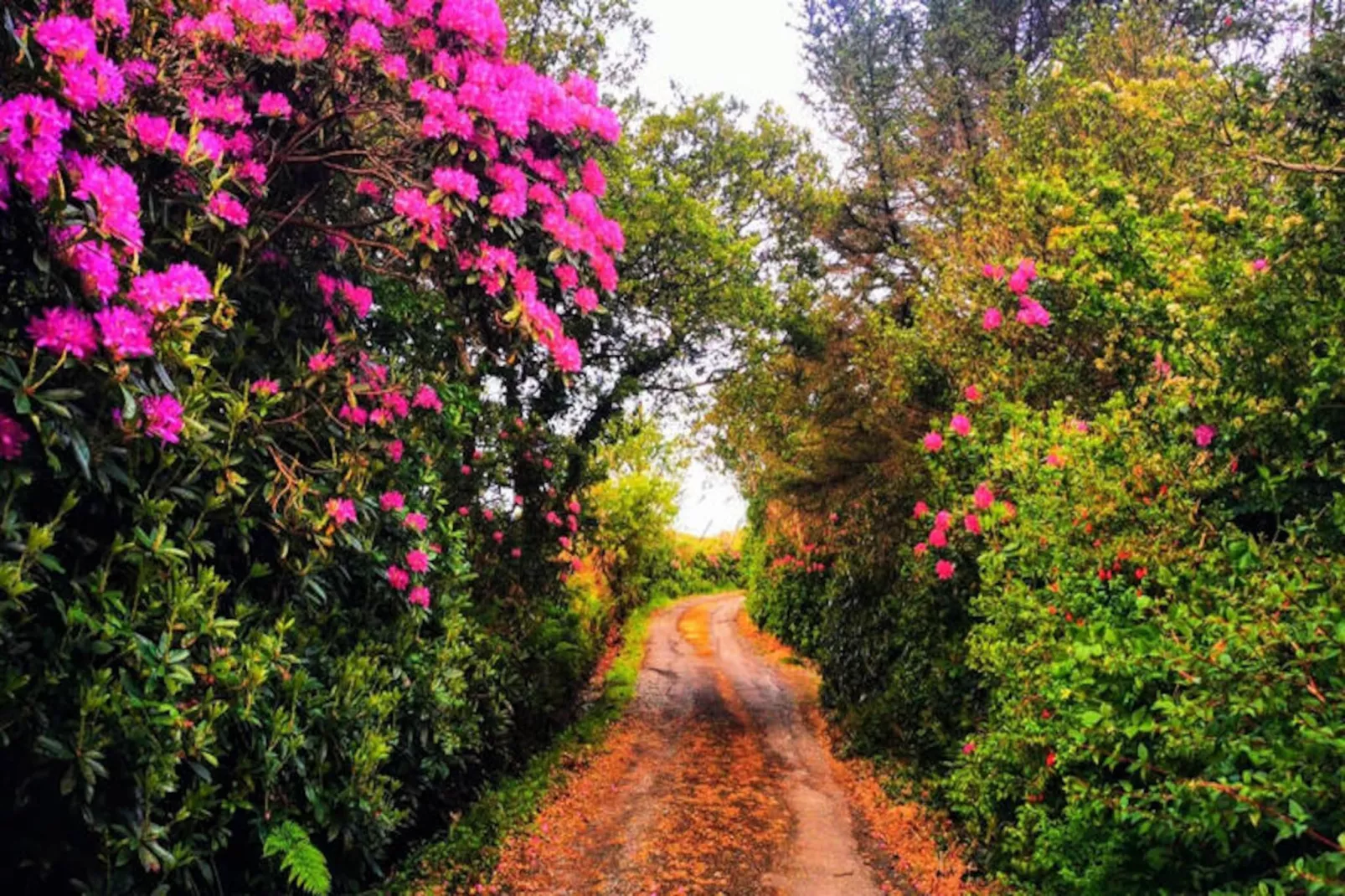 Maison à Letterfrack Galway-Non tagué