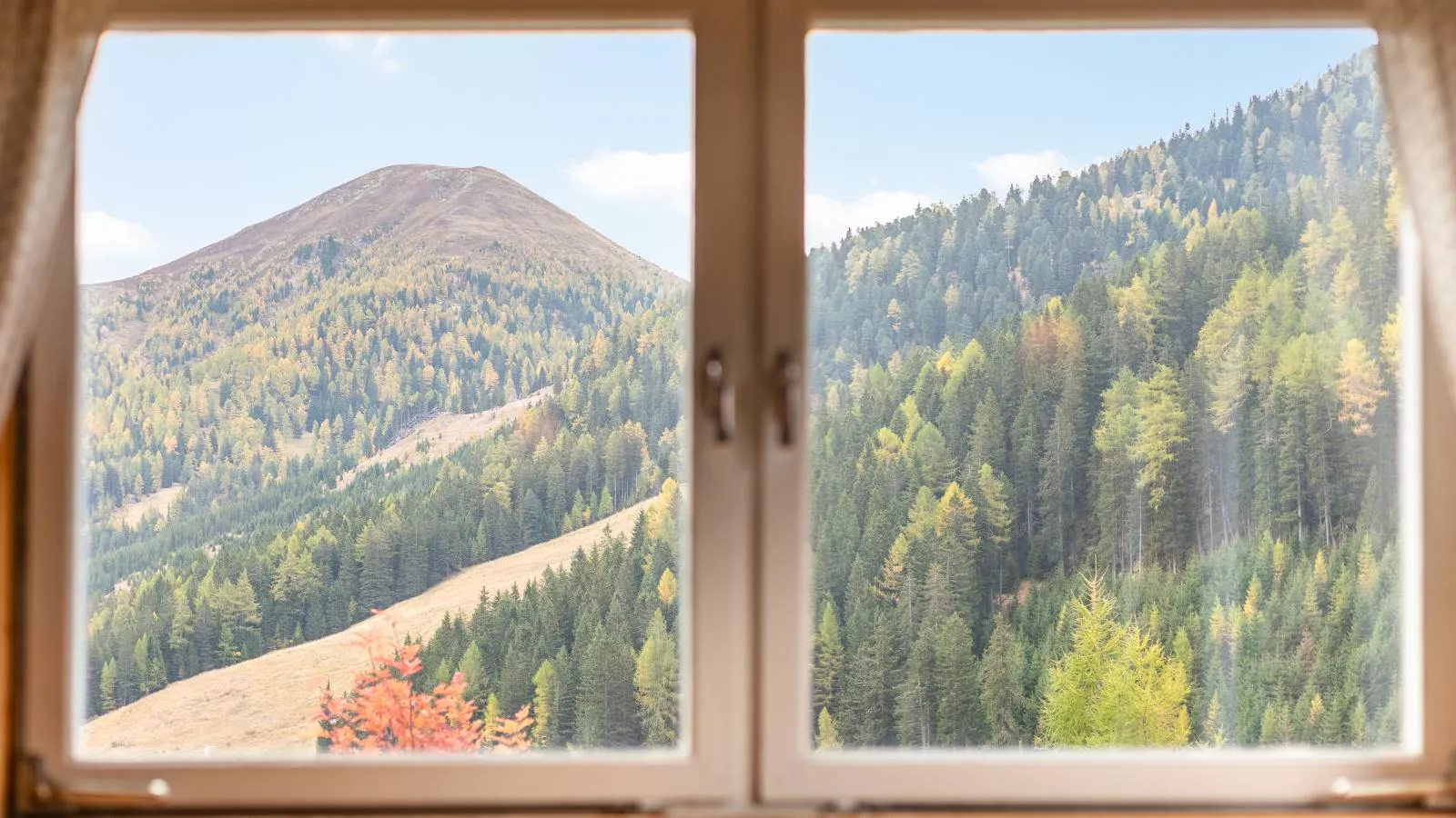 Carmaliva-View in summer