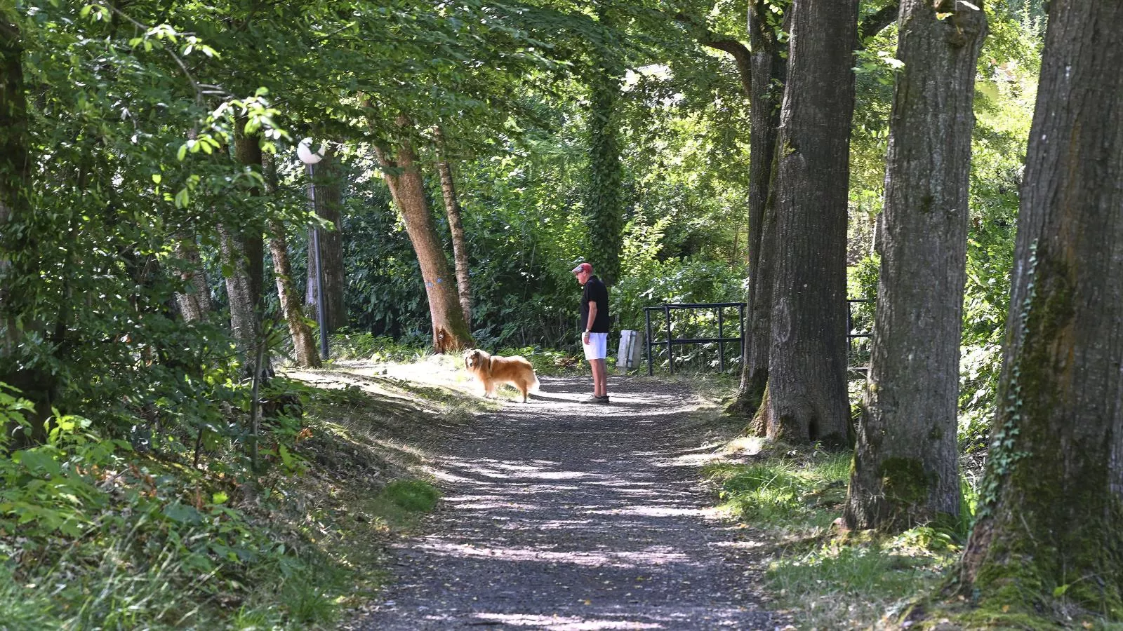 Hoeve Sonnevijver-Zones été à 5 km