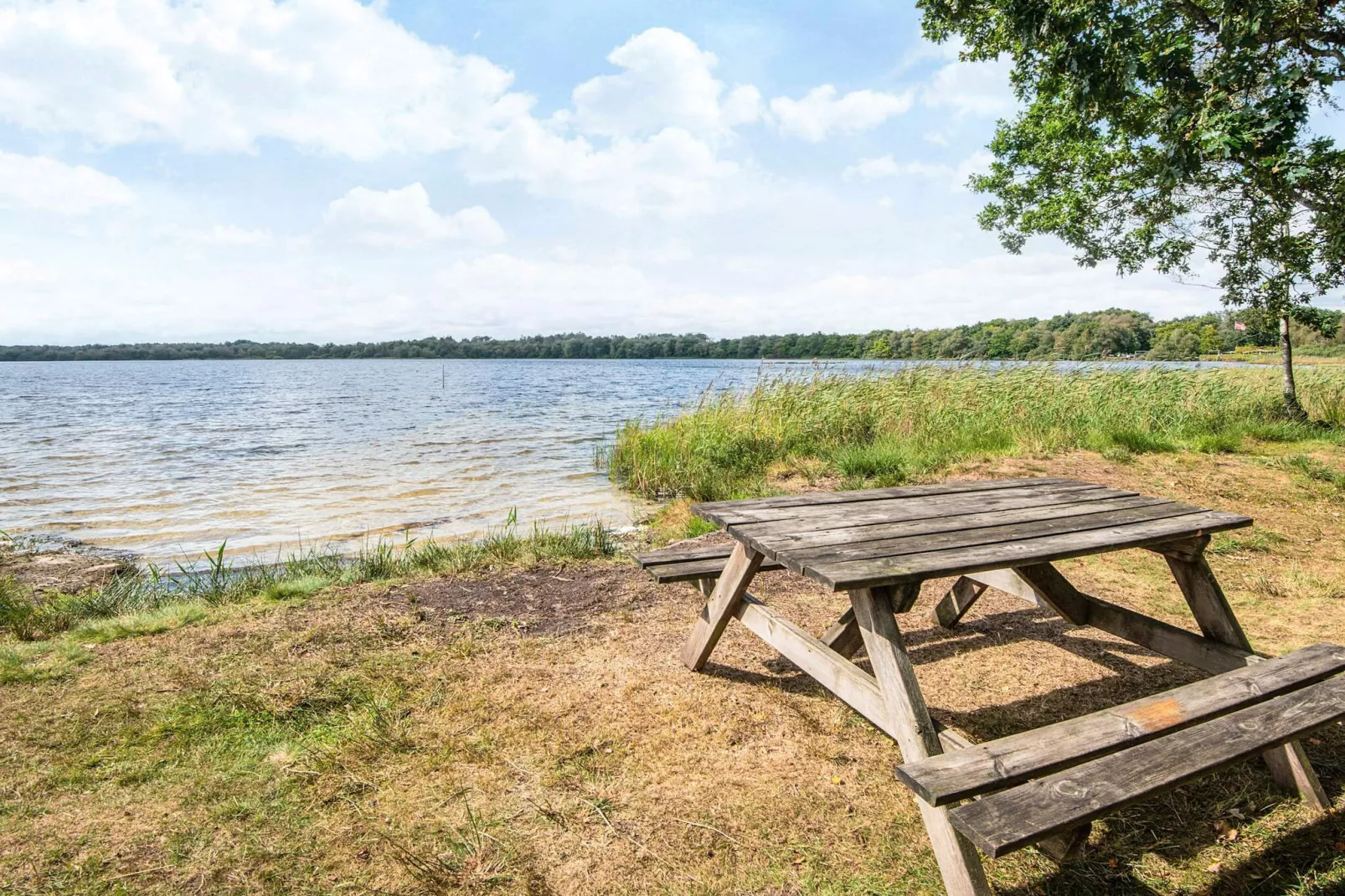 5 star holiday home in Ansager-Untagged