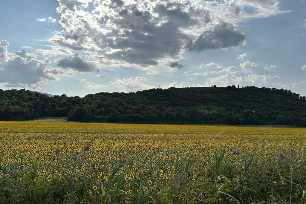 539347-Nicht zugeordnet