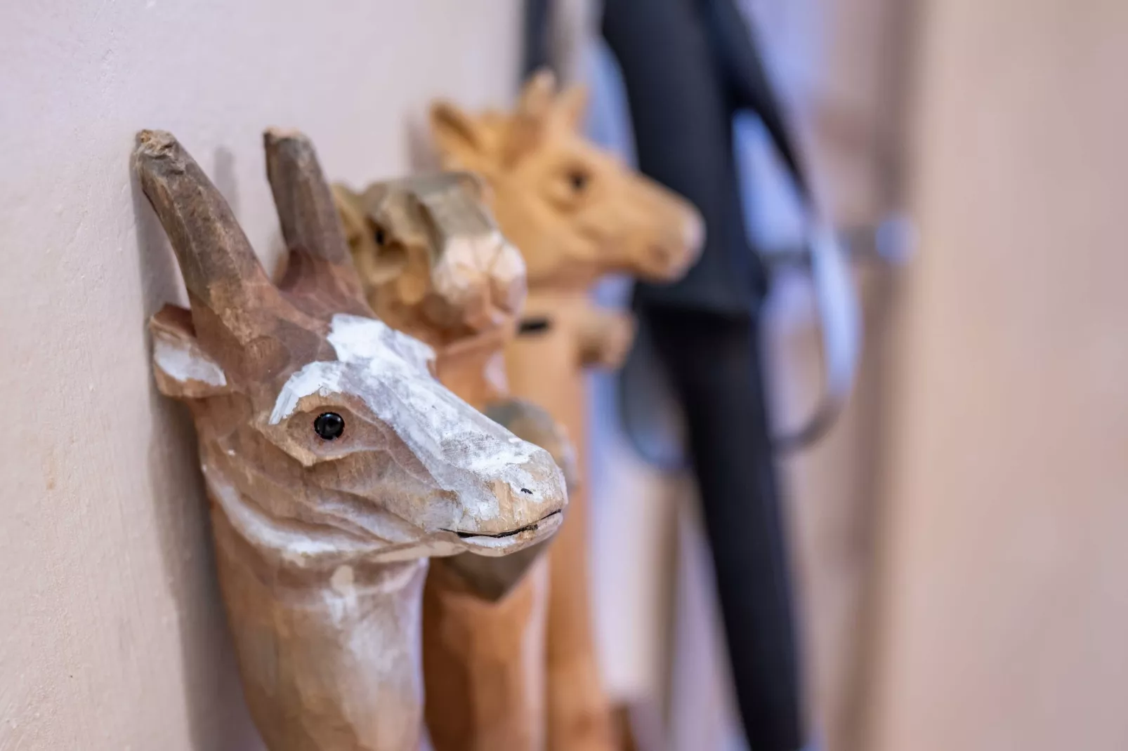 AS-96-FAUCIGNY-Non tagué