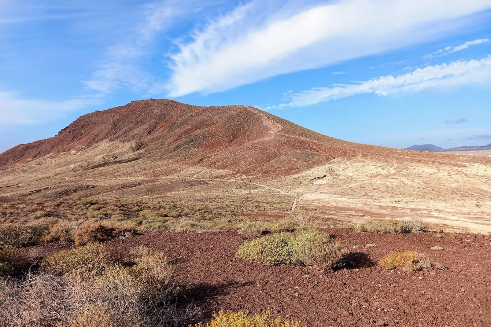 Delfin 14 Vista Jardin 2d-Ambiente