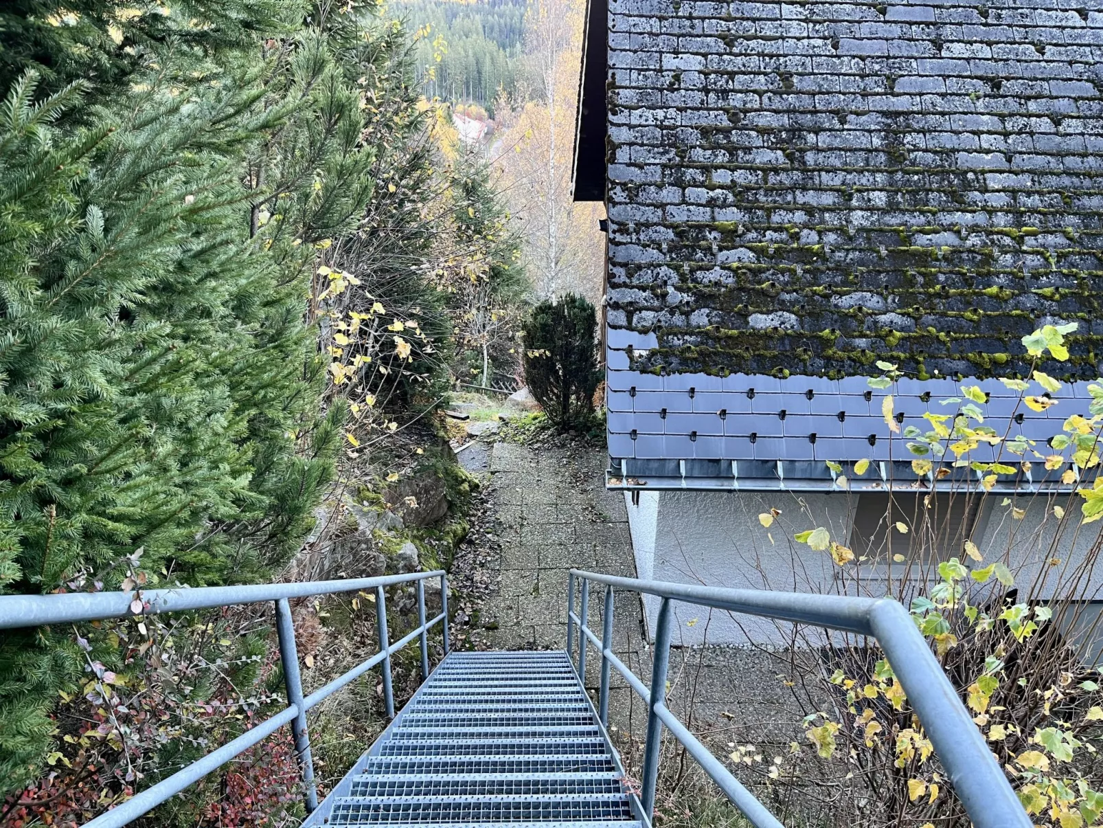 Falkennest - mit Blick auf den Titisee-Draußen