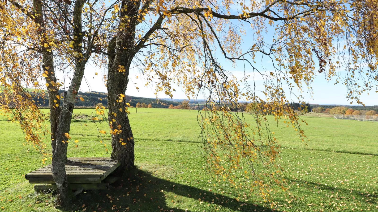 Petit Wilogne-Garten Sommer
