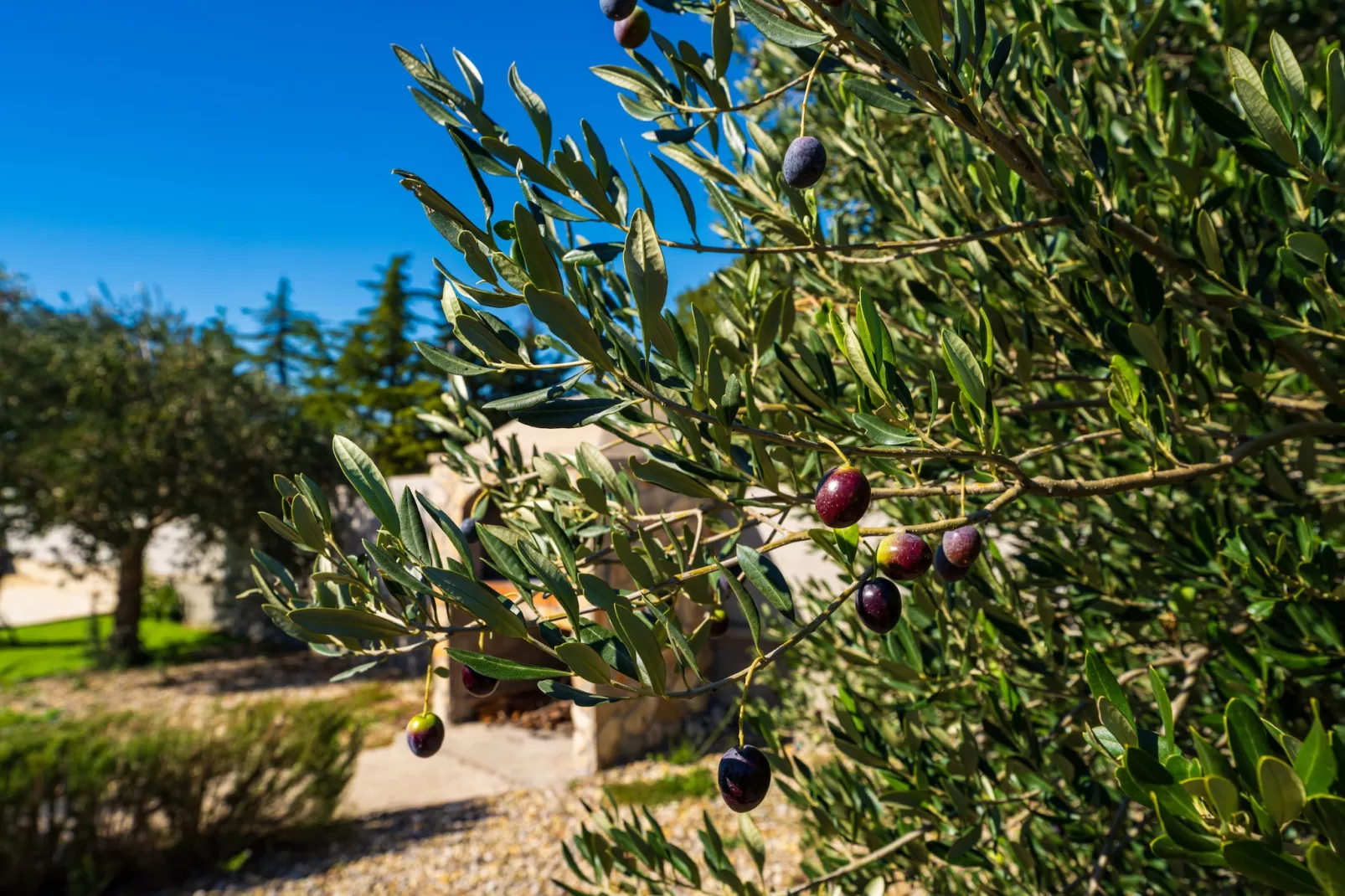Holiday home Emily-Ambiance