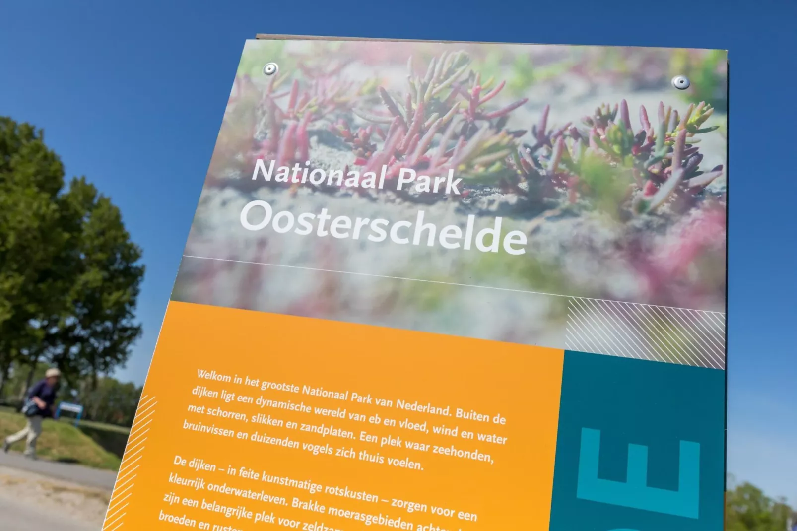 Havenweg 8-14-Non tagué