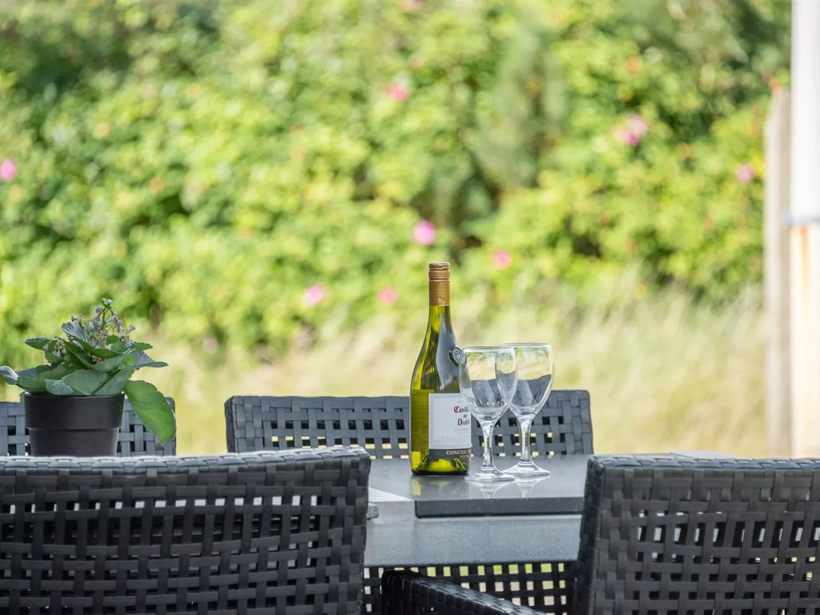 "Jess" -  from the sea-Outside