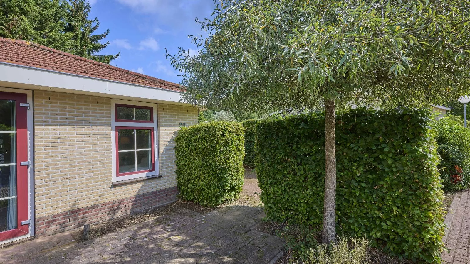 Heidepracht-Extérieur été