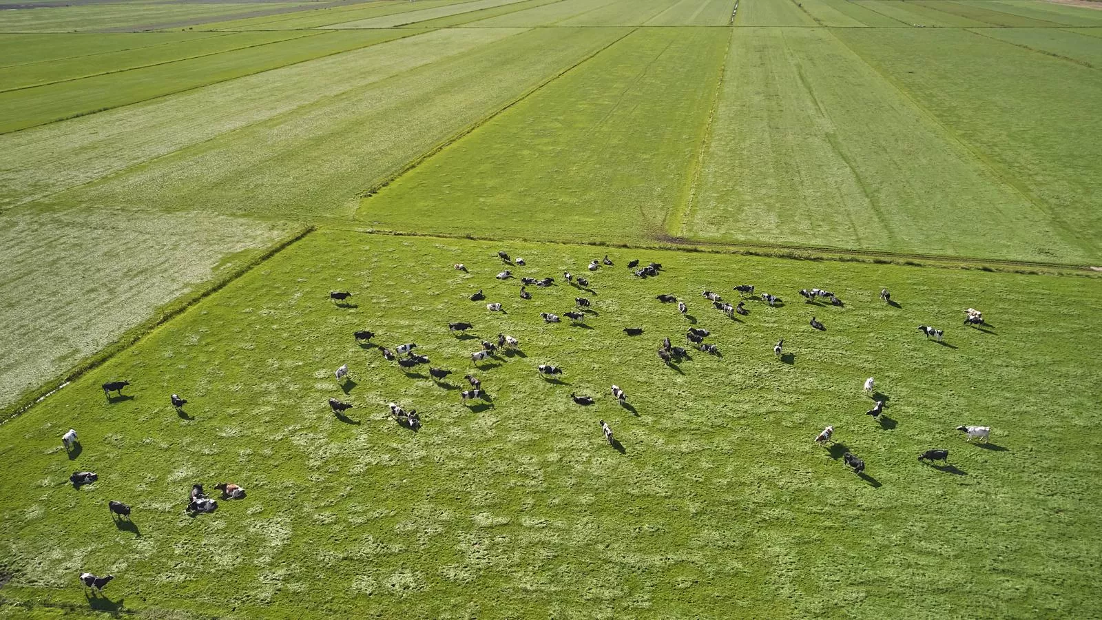 Alpa Casa-Zones été à 1 km