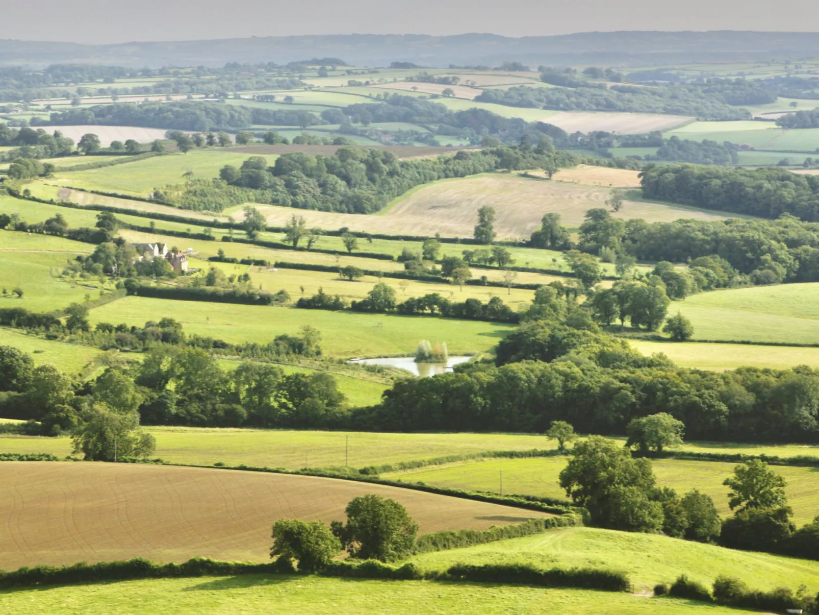 New Park Farm-Outside