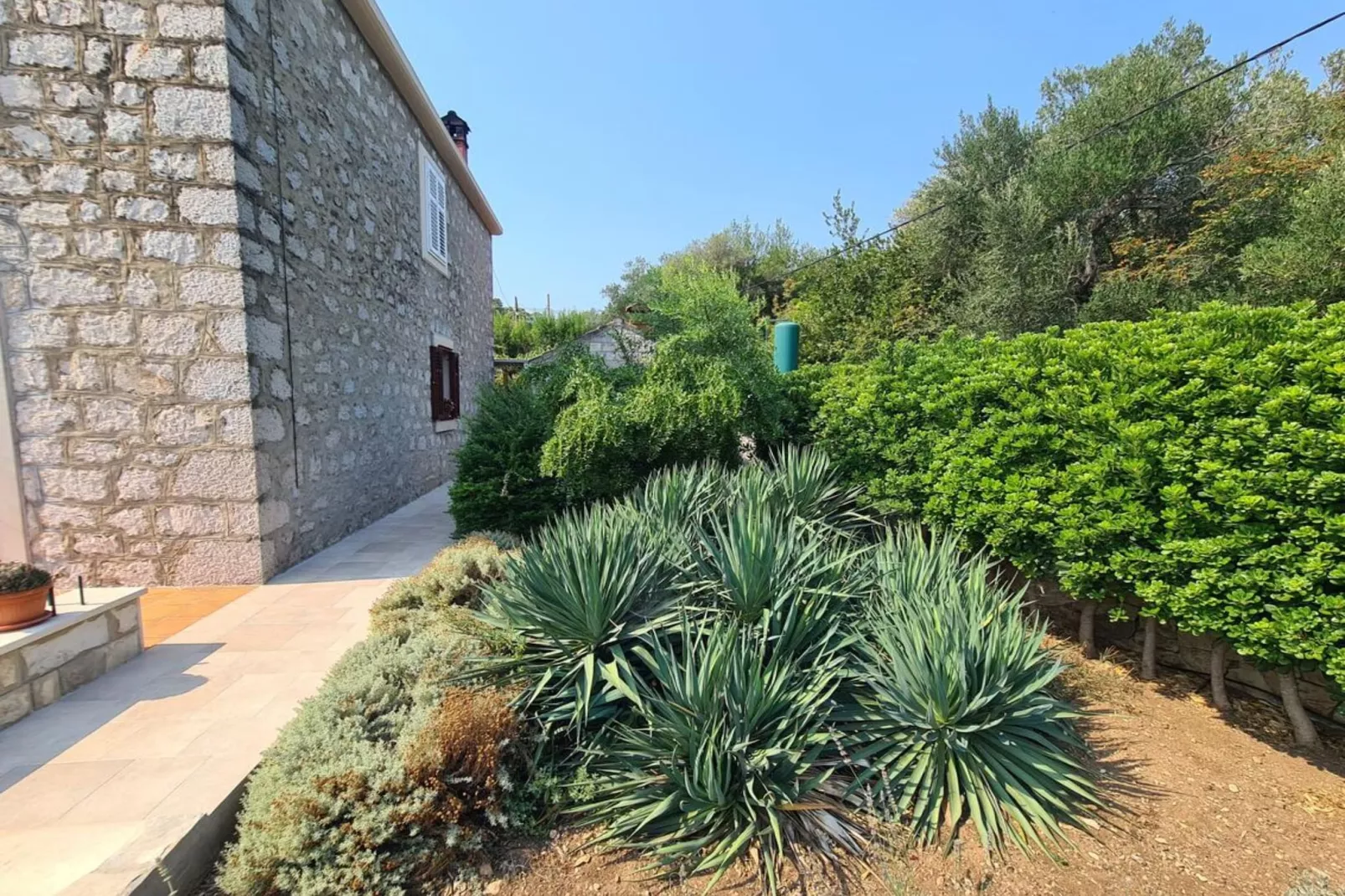 Four bedroom apartment-Outdoor